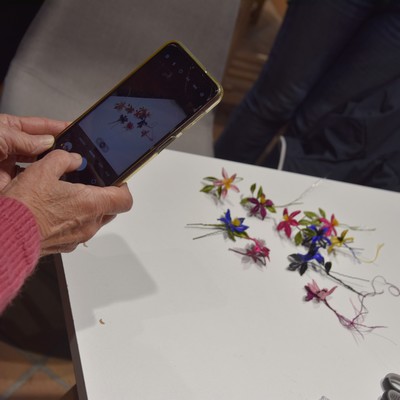 Fleurs de soie.